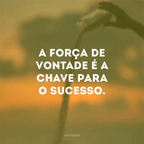 frases de força e motivação - sindrome de wellens